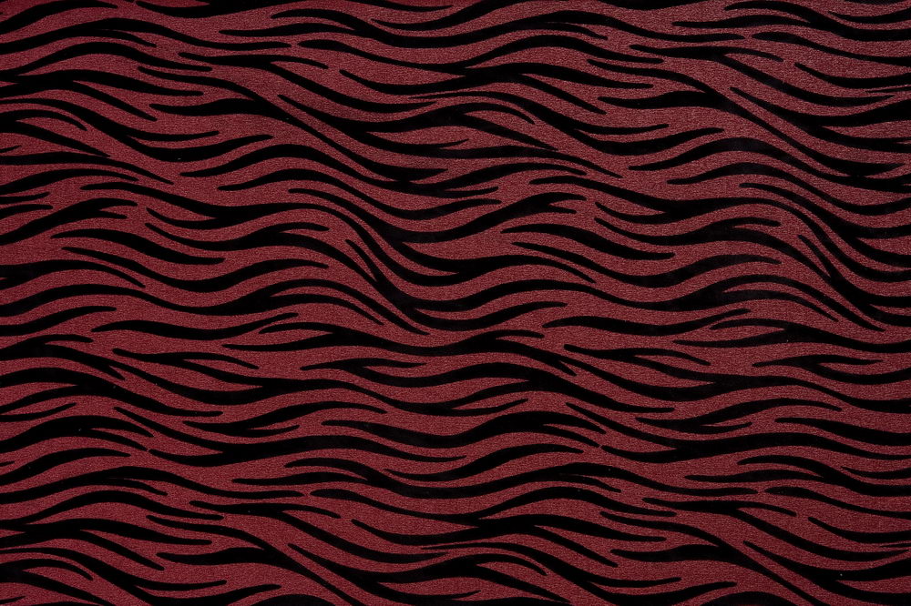 ʱд